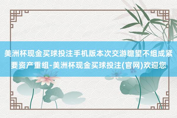 美洲杯现金买球投注手机版本次交游瞻望不组成紧要资产重组-美洲杯现金买球投注(官网)欢迎您