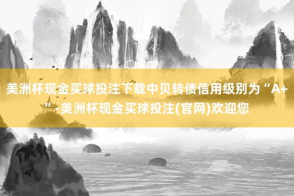 美洲杯现金买球投注下载中贝转债信用级别为“A+”-美洲杯现金买球投注(官网)欢迎您