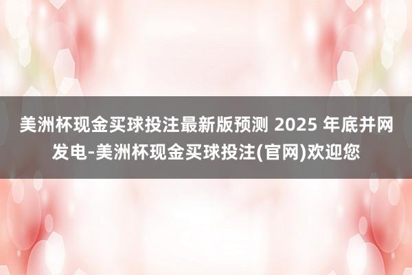 美洲杯现金买球投注最新版预测 2025 年底并网发电-美洲杯现金买球投注(官网)欢迎您