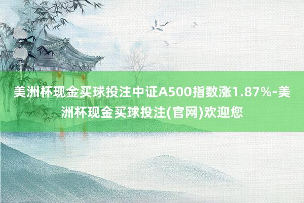 美洲杯现金买球投注中证A500指数涨1.87%-美洲杯现金买球投注(官网)欢迎您