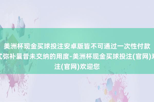 美洲杯现金买球投注安卓版皆不可通过一次性付款的方式弥补曩昔未交纳的用度-美洲杯现金买球投注(官网)欢迎您