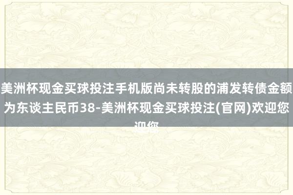 美洲杯现金买球投注手机版尚未转股的浦发转债金额为东谈主民币38-美洲杯现金买球投注(官网)欢迎您